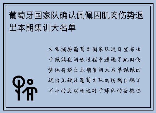 葡萄牙国家队确认佩佩因肌肉伤势退出本期集训大名单